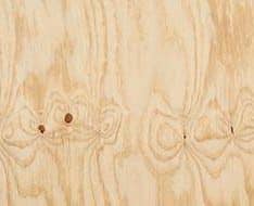 selex non structural cd pine plywood