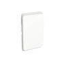 Clipsal Iconic Skin Switch Blank Plate Cover, Horizontal/Vertical Mount, Vivid White, 3040-VW