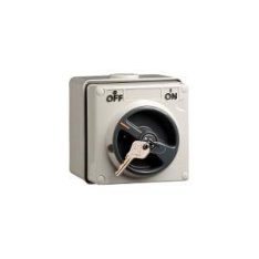 Key switch remove/both ip66 1p 20a grey CLI56K2SW120GY