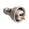 Plug top ip66 str 3pin 10a 250v grey CLI56P310GY