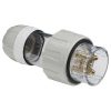 Plug top ip66 str 5pin 32a 500v grey CLI56P532GY