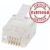 Plug rj12 6p6c round stranded 100pk CAB0666RST-C