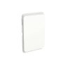Skin switch blank plate v/h white CLI3040CVW