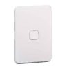 Skin switch v/h 1g rocker CLI3041CXW