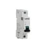 Mcb 1module 1pole 25a 6ka c curve CLI4CB125/6