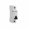 Mcb 1module 1pole 40a 6ka c curve CLI4CB140/6