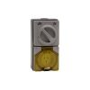 Outlet switched ip66 3pin 10a 250v ch/gr CLI56C310CG