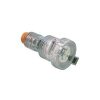 Socket extension ip66 4 pin 50a 500v org CLI56CSC450EO
