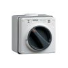 Isolator ip66 1g sp 10a 2way 250v grey CLI56SW110/2GY
