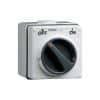 Isolator ip66 1g 3p 32a 1way 500v r/wht CLI56SW332RW