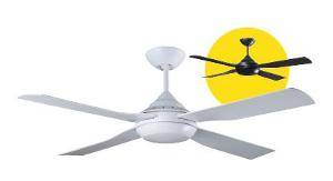 Quinton ceilingfan 52in black with 4 eas FANQTN52BK