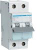 Mcb 6ka 10a 2 pole / 2 module HAGMSN210