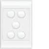 Switch large plate switch vertical 5g HAGWBSV5