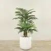 180cm Outdoor Palm Tree w/ white pot