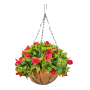 HGD 33cm Outdoor Pink Bougainvillea Hanging basket