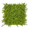 HGD 50x50cm Winter Creeper Tile