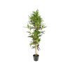 100cm Outdoor Bamboo Tree