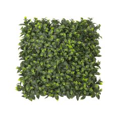 50x50cm Artificial Hedge Tile Pittosporum