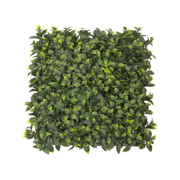 50x50cm Artificial Hedge Tile Pittosporum