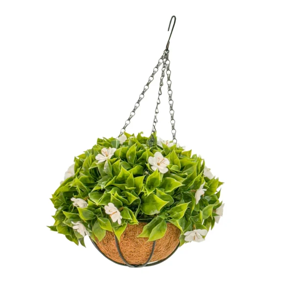 HGD 33cm Outdoor White Sakura Hanging basket
