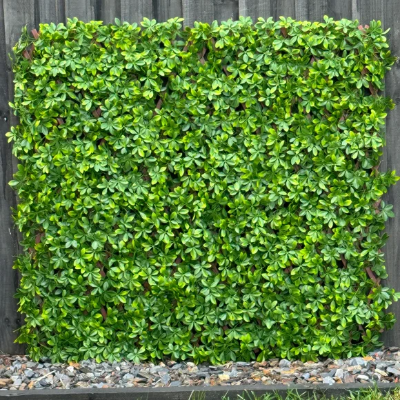 HGD 180cm X 90cm Barberry Trellis - Lt Green
