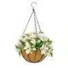 HGD 33cm Outdoor White Poinsettia Hanging basket