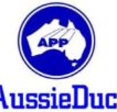 Australian Plastic Profiles APP CD2516ECWH Mini Trunking Series Duct Moulded End Cap, PVC, 25mm x 16mm, White