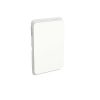 Clipsal 3040C-VW Iconic Series Skin Only, Cover Plate, Flush, Vertical/Horizontal, Suit Blank Plate, Vivid White