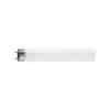 Philips TLD10W33 T8 Fluoro Tube, Fluorescent, 10W, Colour 640, T8, G13 Base, 345mm x 26mm
