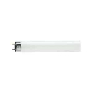 Philips TLD10W33 T8 Fluoro Tube, Fluorescent, 10W, Colour 640, T8, G13 Base, 345mm x 26mm