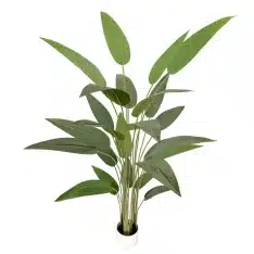 Garden Decor & Features