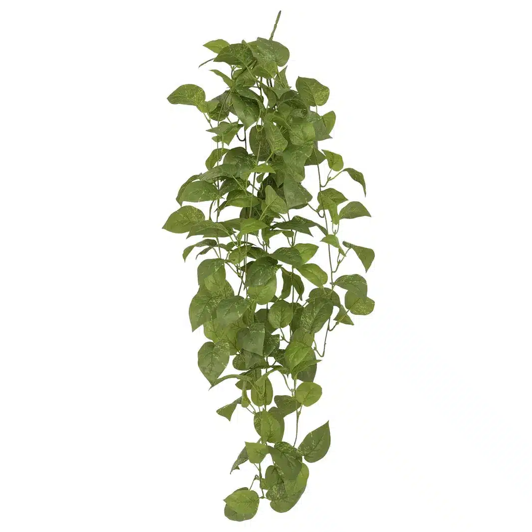 90cm UV Treated Pothos Plug-in Stem