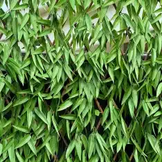 Expanding Trellis Green Wall Screen