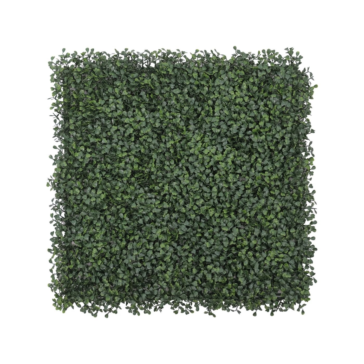 50x50cm Artificial Hedge Tile English Box