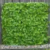 HGD 180cm X 90cm Barberry Trellis - Lt Green