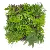 HGD 50x50cm Tropical Garden Tile